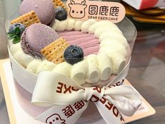 -圆鹿鹿·鲜果半糖蛋糕(常平店)