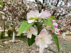 -元大都城垣遗址公园