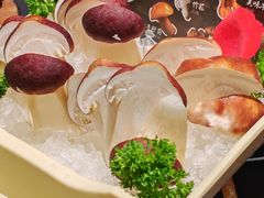 -季季山•云南野生菌火锅(上海首店)