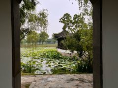 -尚湖风景区