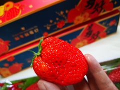 -Olé精品超市(南宁万象城店)