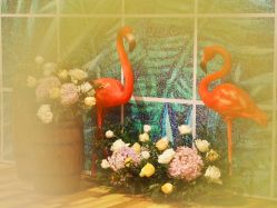 点击看大图 -Tian Design天源婚礼策划