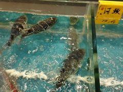 -海蓝海鲜馆(五四北店)