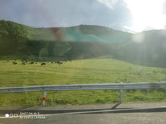 -御道口草原森林风景区