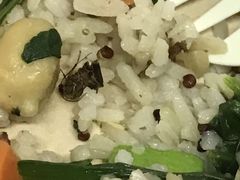 -SHUBO蔬小盒(三里屯店)