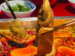 -二荆条·蜀鲜汇城市森林火锅