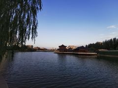 -雁滩公园