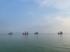 -贡湖湾湿地公园