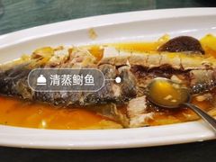 酒酿鲥鱼-望乡楼上海菜(日月光店)
