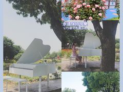 -鹅湖玫瑰文化园