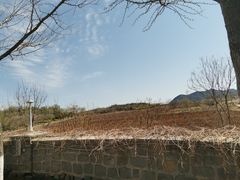 -北京张裕爱斐堡酒庄