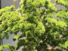 -百富源·海鲜辽菜(和平北大街店)