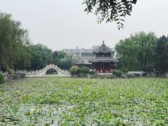 -莲池书院博物馆