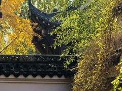 -长春观