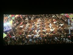 -AMG海上明珠影城(上海环球港RealDCinema店)