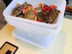 -蓝珊甄选海鲜自助·火锅大排档(近阿那亚店)