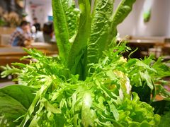 蔬菜拼盘-贰重天冰煮羊自助火锅(东坝店)