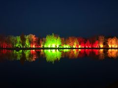 -金塔沙漠胡杨林景区