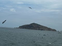 -海驴岛(荣成市)