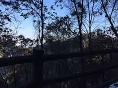 -少华山国家森林公园