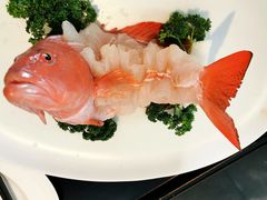 -大董(阜成路店)
