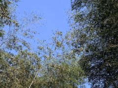 -黄公望隐居地