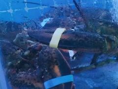 -鼓歌海鲜舫·手抓海鲜(大学城店)