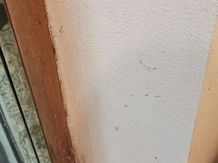 -黄氏壹品汇•水牛奶甜品(全国总店)