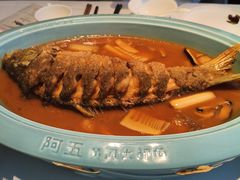 -阿五黄河大鲤鱼(英协路店)