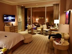 -拉斯维加斯永利酒店