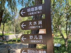 -阳台山自然风景区