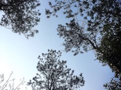 -天目湖涵田半山温泉