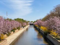 -海棠花溪(元大都城垣遗址公园)