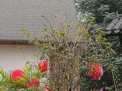 -后湖小院·乡野田园菜