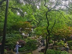 -杨裕兴(岳麓山店)