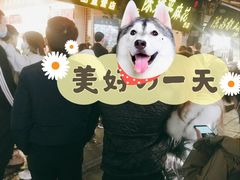 -陈建平麻花(磁器口总店)