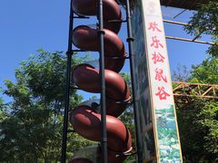 -欢乐松鼠谷