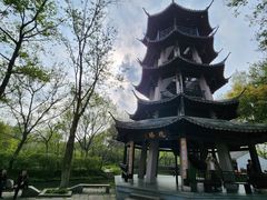 -西溪国家湿地公园