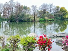 -海珠湖公园