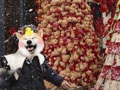 -HERRE·FARM 赫尔露营农场·团建聚会包场