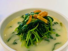 上汤时蔬-茗鼎汇(星方汇广场店)