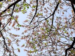 -成都市活水公园