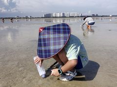 -红树林天天赶海