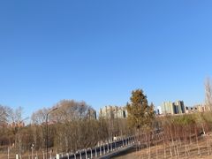 -哈尔滨大剧院