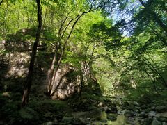 -牛背梁国家森林公园
