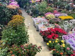 -双季花艺园艺市场(浦东店)