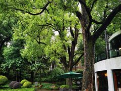 -申粤轩酒楼·三十年粤菜经典(丁香花园店)