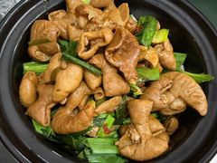 肥肠煲-红灯笼龙凤饭店(宁波老字号店)