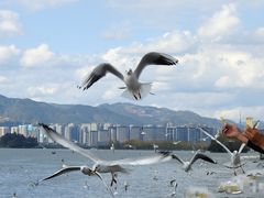 -海埂大坝