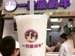 -一只酸奶牛(八一路店)